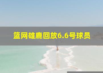 篮网雄鹿回放6.6号球员