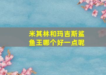 米其林和玛吉斯鲨鱼王哪个好一点呢