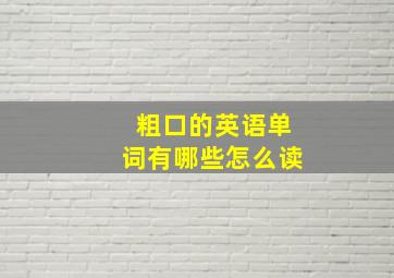 粗口的英语单词有哪些怎么读