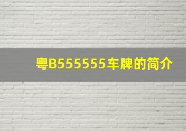 粤B555555车牌的简介