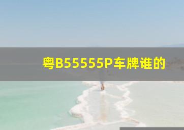 粤B55555P车牌谁的