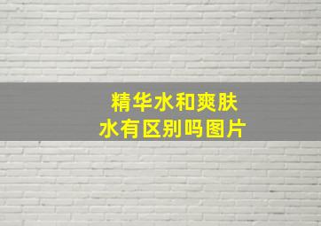 精华水和爽肤水有区别吗图片