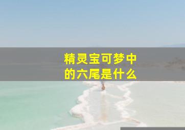 精灵宝可梦中的六尾是什么