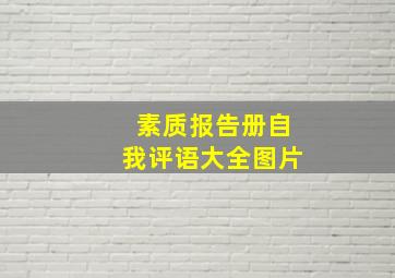 素质报告册自我评语大全图片