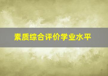 素质综合评价学业水平