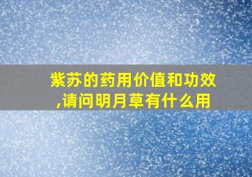 紫苏的药用价值和功效,请问明月草有什么用