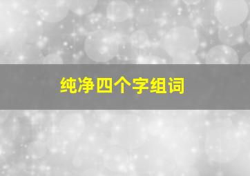 纯净四个字组词