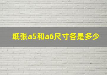 纸张a5和a6尺寸各是多少