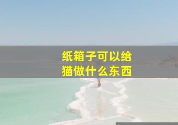 纸箱子可以给猫做什么东西