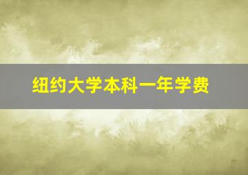 纽约大学本科一年学费