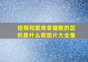 纽顿和爱肯拿猫粮的区别是什么呢图片大全集