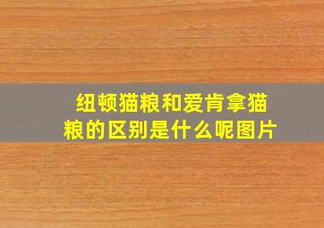 纽顿猫粮和爱肯拿猫粮的区别是什么呢图片