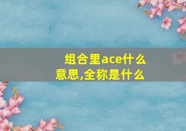 组合里ace什么意思,全称是什么