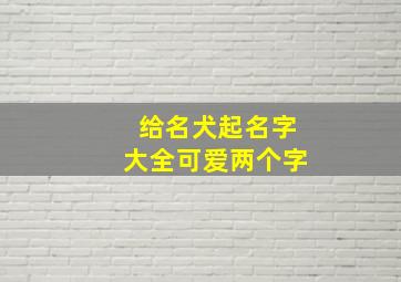 给名犬起名字大全可爱两个字