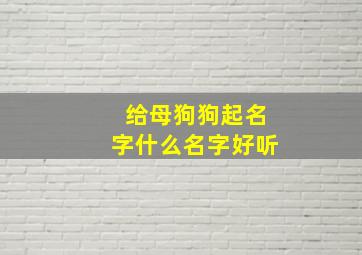 给母狗狗起名字什么名字好听