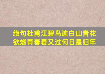 绝句杜甫江碧鸟逾白山青花欲燃青春看又过何日是归年