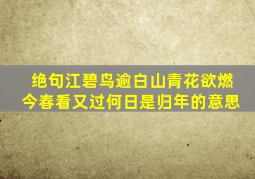 绝句江碧鸟逾白山青花欲燃今春看又过何日是归年的意思