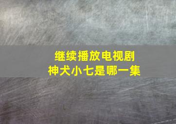 继续播放电视剧神犬小七是哪一集