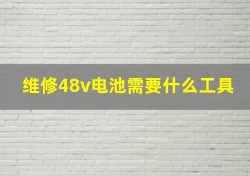 维修48v电池需要什么工具