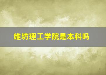 维坊理工学院是本科吗