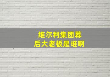 维尔利集团幕后大老板是谁啊