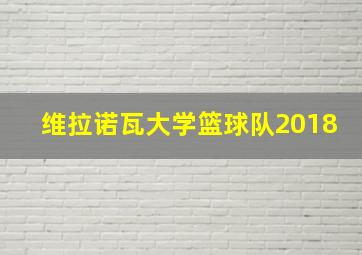 维拉诺瓦大学篮球队2018