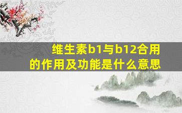 维生素b1与b12合用的作用及功能是什么意思