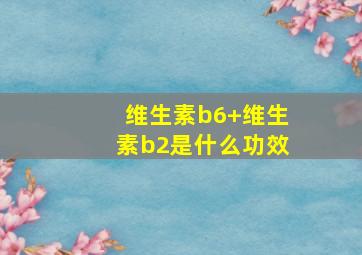 维生素b6+维生素b2是什么功效