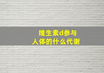 维生素d参与人体的什么代谢