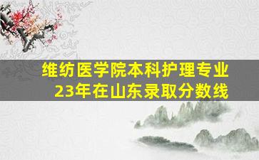 维纺医学院本科护理专业23年在山东录取分数线