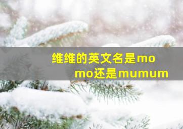 维维的英文名是momo还是mumum