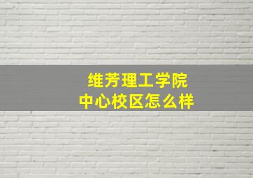 维芳理工学院中心校区怎么样