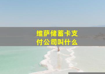 维萨储蓄卡支付公司叫什么