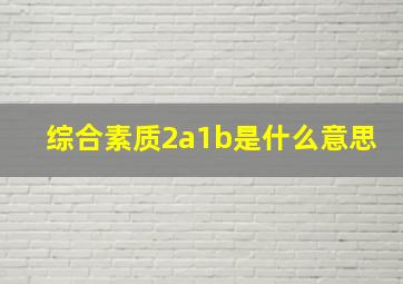 综合素质2a1b是什么意思