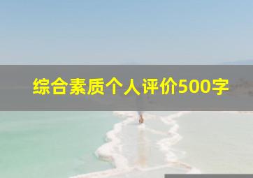 综合素质个人评价500字