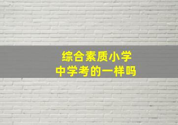 综合素质小学中学考的一样吗