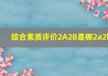 综合素质评价2A2B是哪2a2b