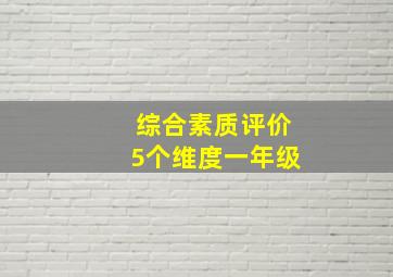 综合素质评价5个维度一年级