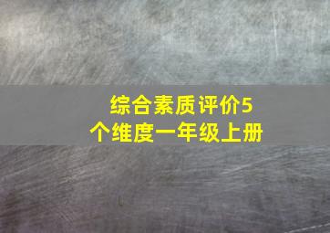 综合素质评价5个维度一年级上册