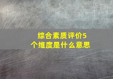 综合素质评价5个维度是什么意思