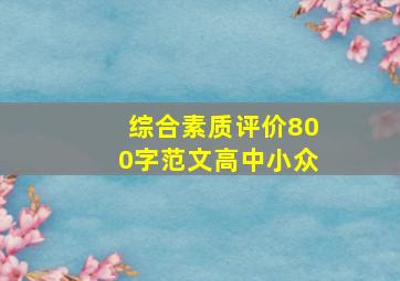 综合素质评价800字范文高中小众