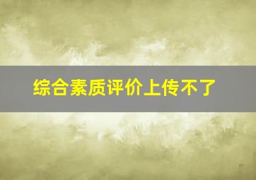 综合素质评价上传不了