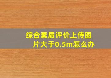 综合素质评价上传图片大于0.5m怎么办