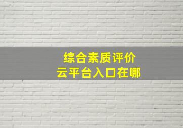 综合素质评价云平台入口在哪