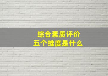 综合素质评价五个维度是什么