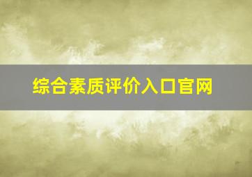 综合素质评价入口官网