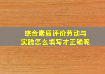 综合素质评价劳动与实践怎么填写才正确呢