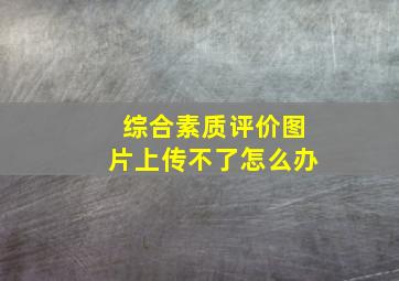 综合素质评价图片上传不了怎么办