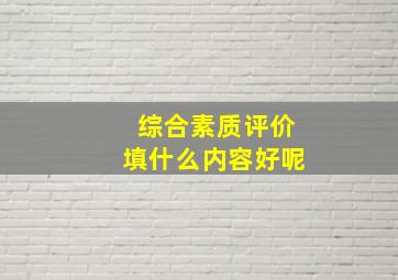 综合素质评价填什么内容好呢