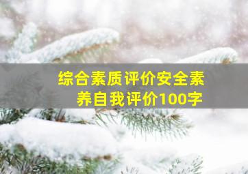 综合素质评价安全素养自我评价100字